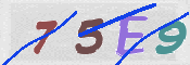 CAPTCHA-Bild