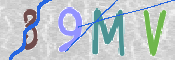 CAPTCHA-Bild